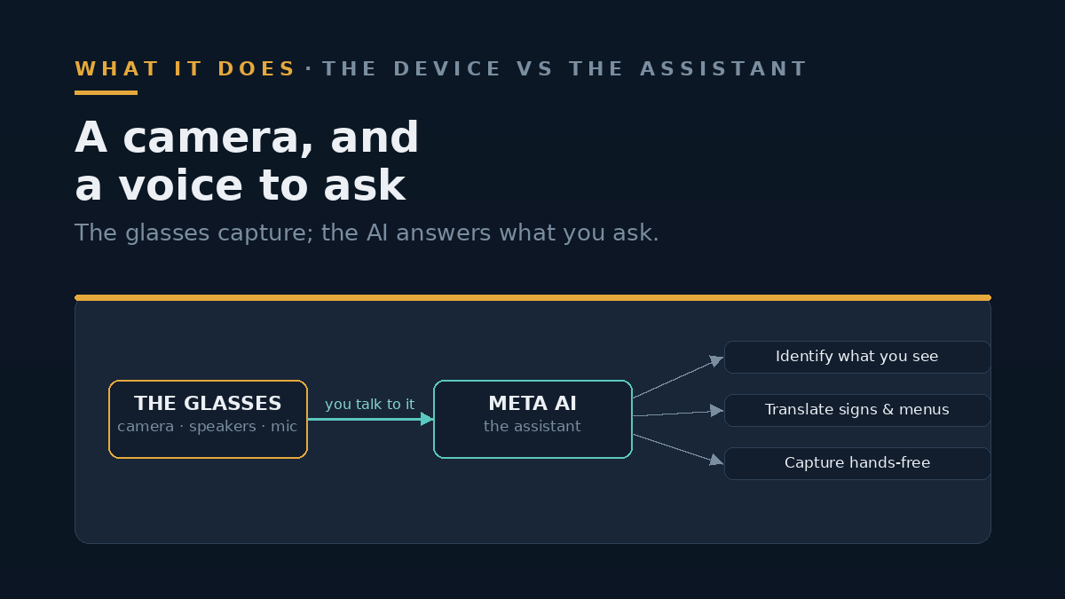 Diagram: the glasses (camera, speakers, microphone) feed Meta's AI assistant, which can identify what you see, translate signs and menus, and capture photos or video hands-free.