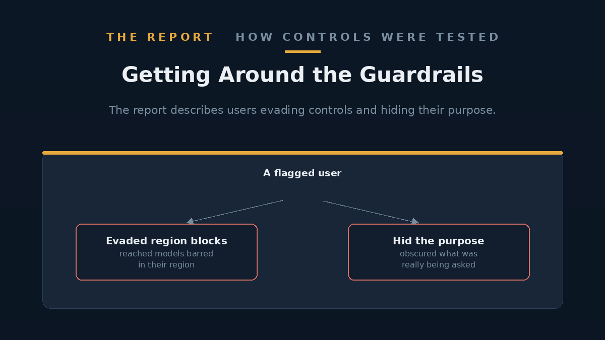 Diagram showing a user evading a region block and obscuring the purpose of a request
