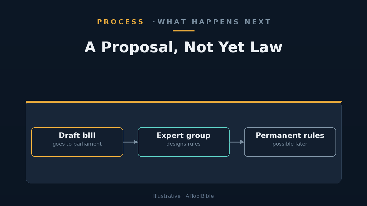 Three-step diagram showing a proposal to parliament, an expert group, then possible permanent rules